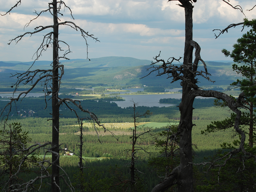 norra norrland